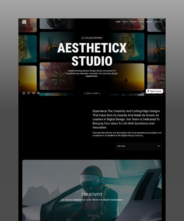 Screenshot of Aestheticx website
