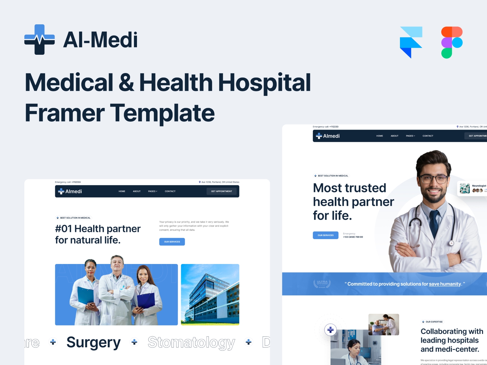 Screenshot of Al medi website