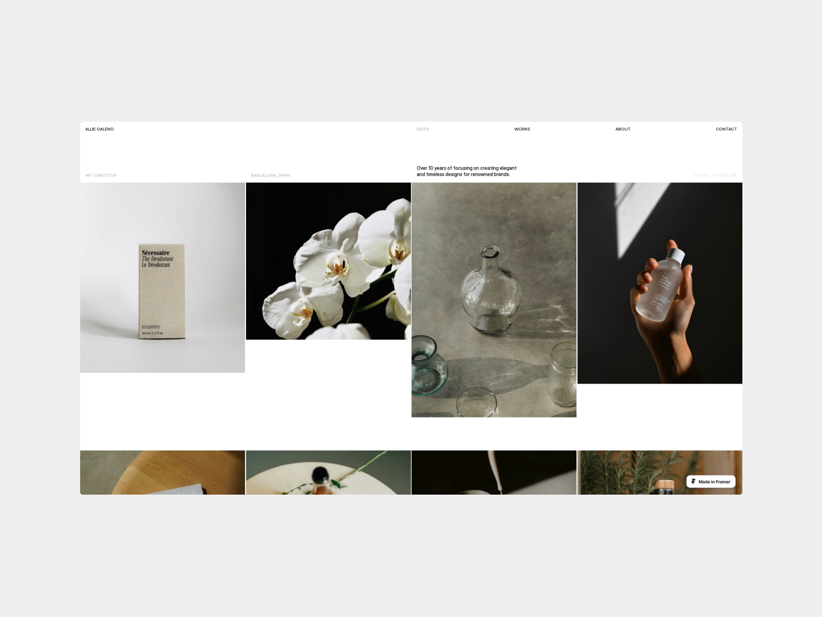 Screenshot of Allie website