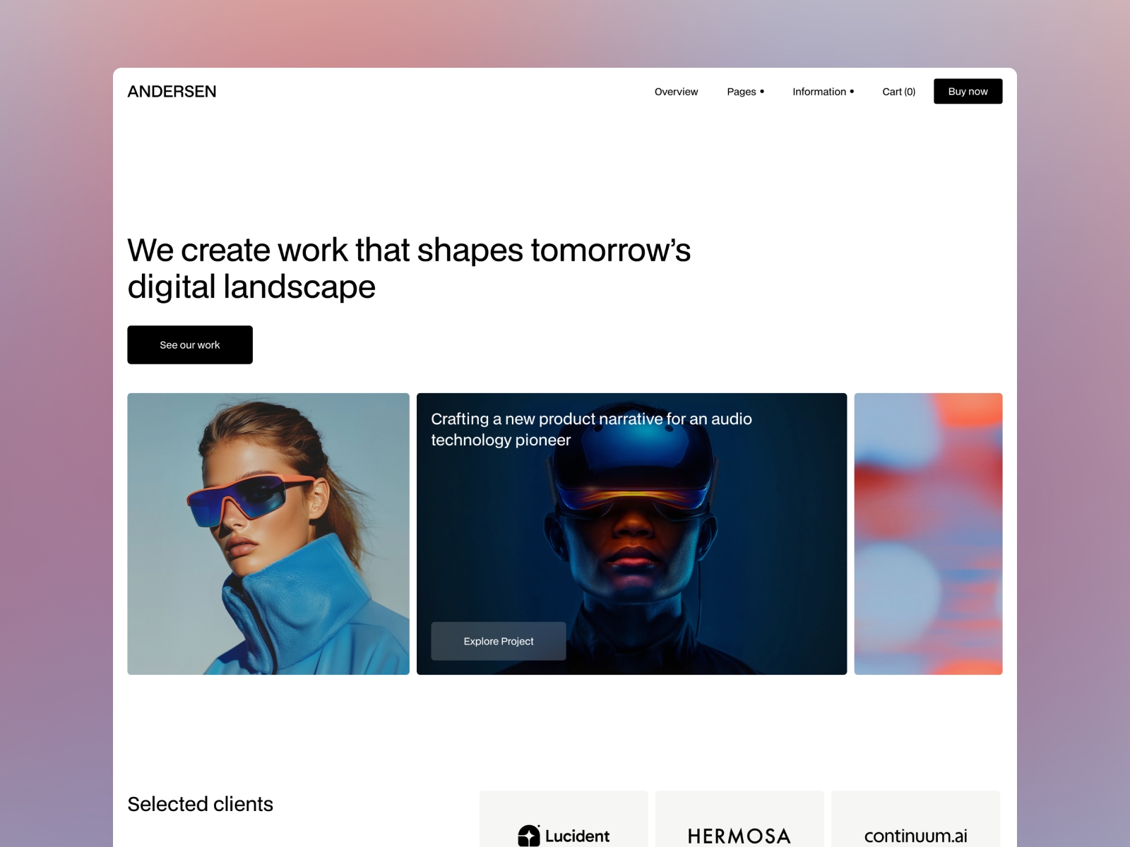 Screenshot of Andersen website