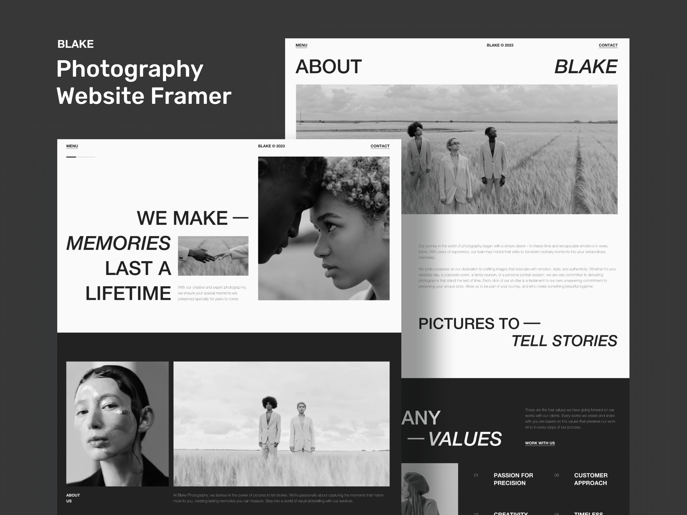 Screenshot of Blake website