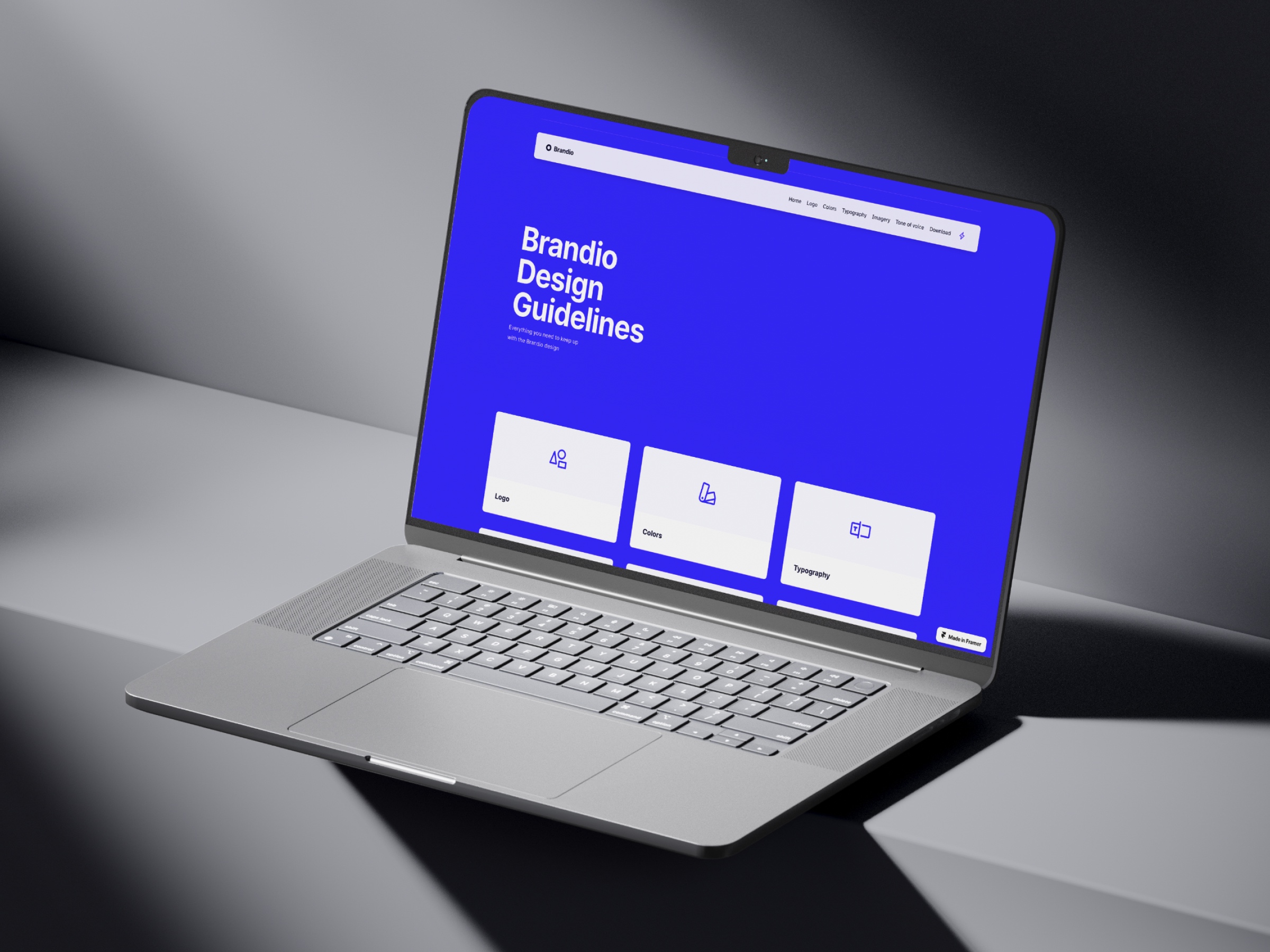 Screenshot of Brandio website