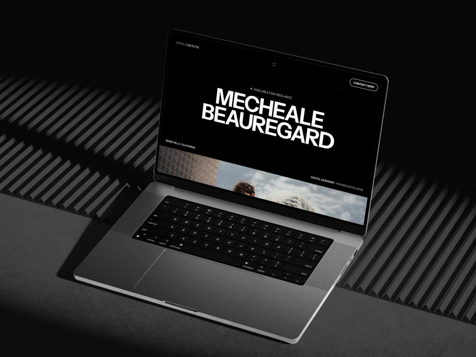 Screenshot of Bronx website