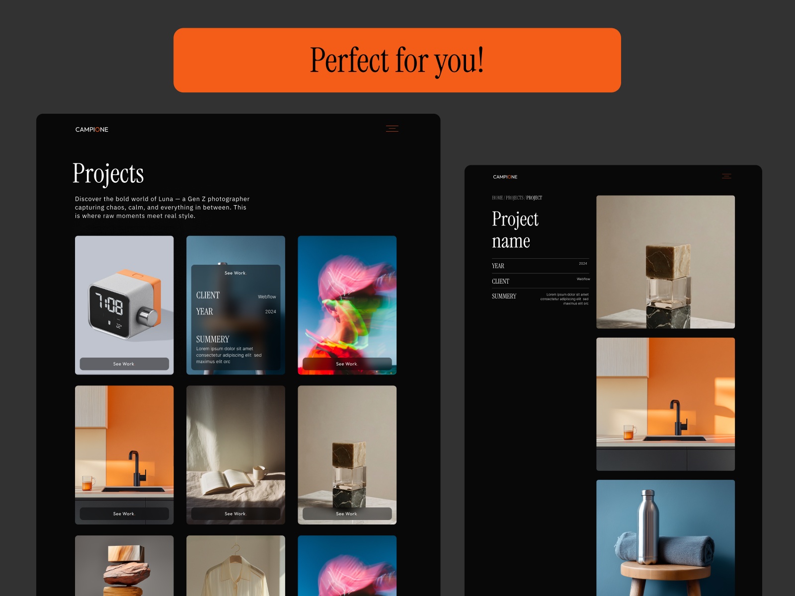 Screenshot 3 of Campione