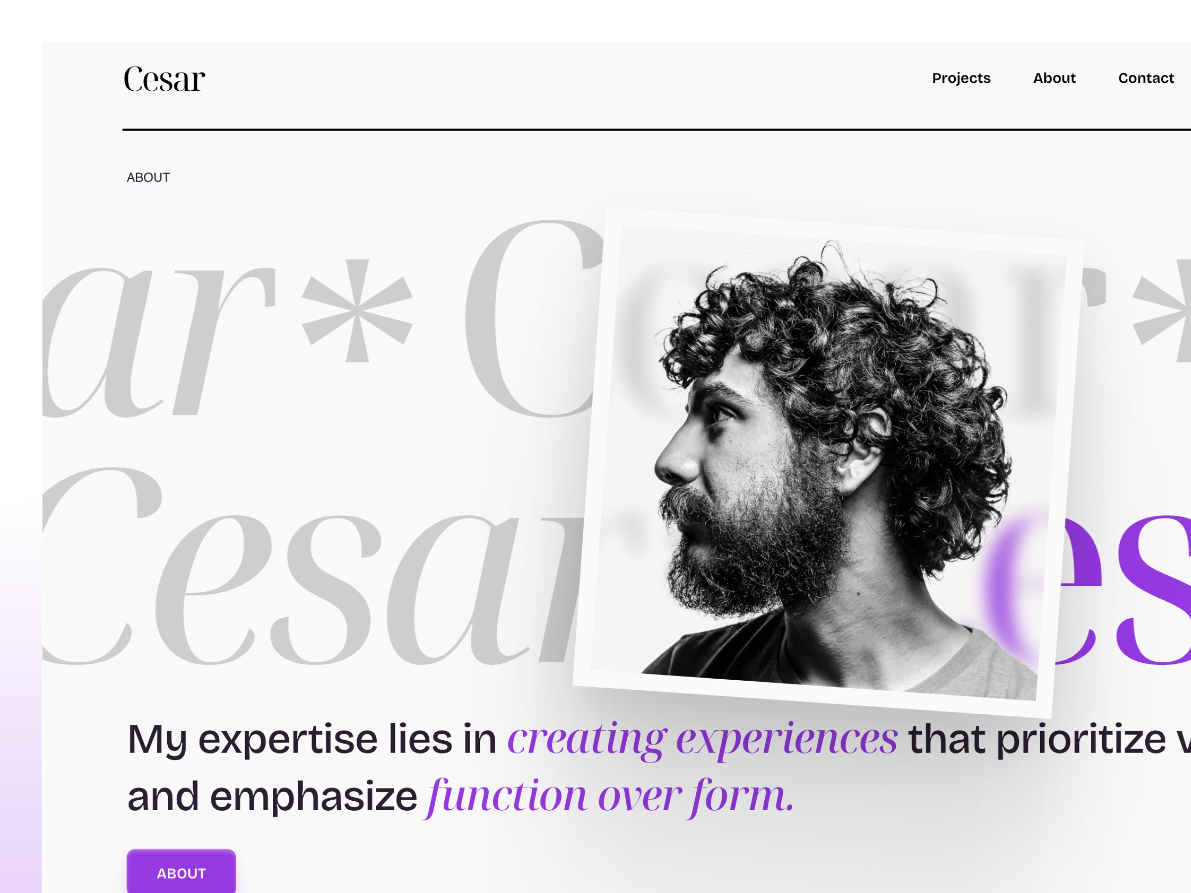 Screenshot of Cesar website