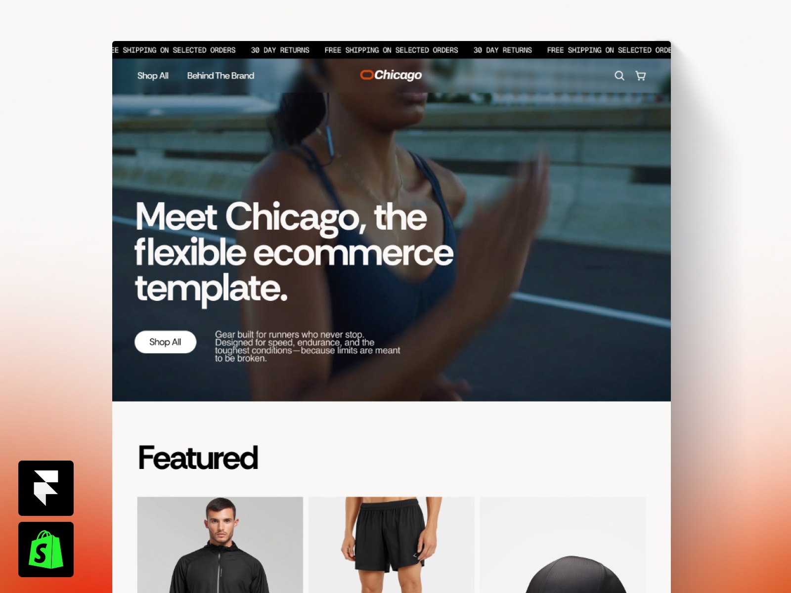 Screenshot of Chicago website