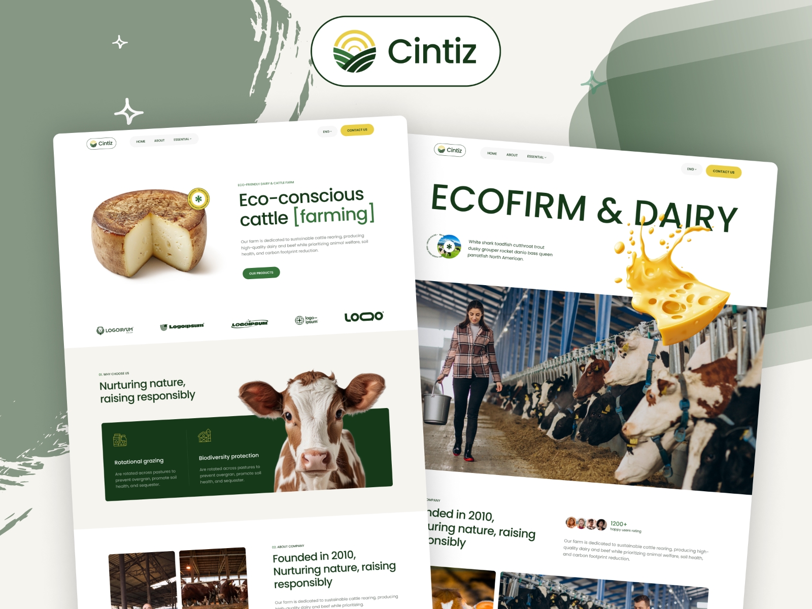 Screenshot of Cintiz website