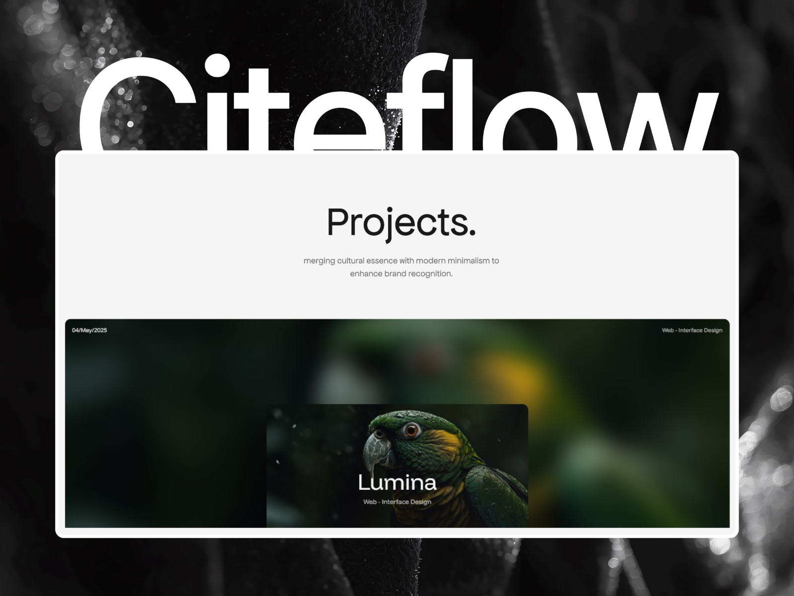 Screenshot 3 of Citeflow