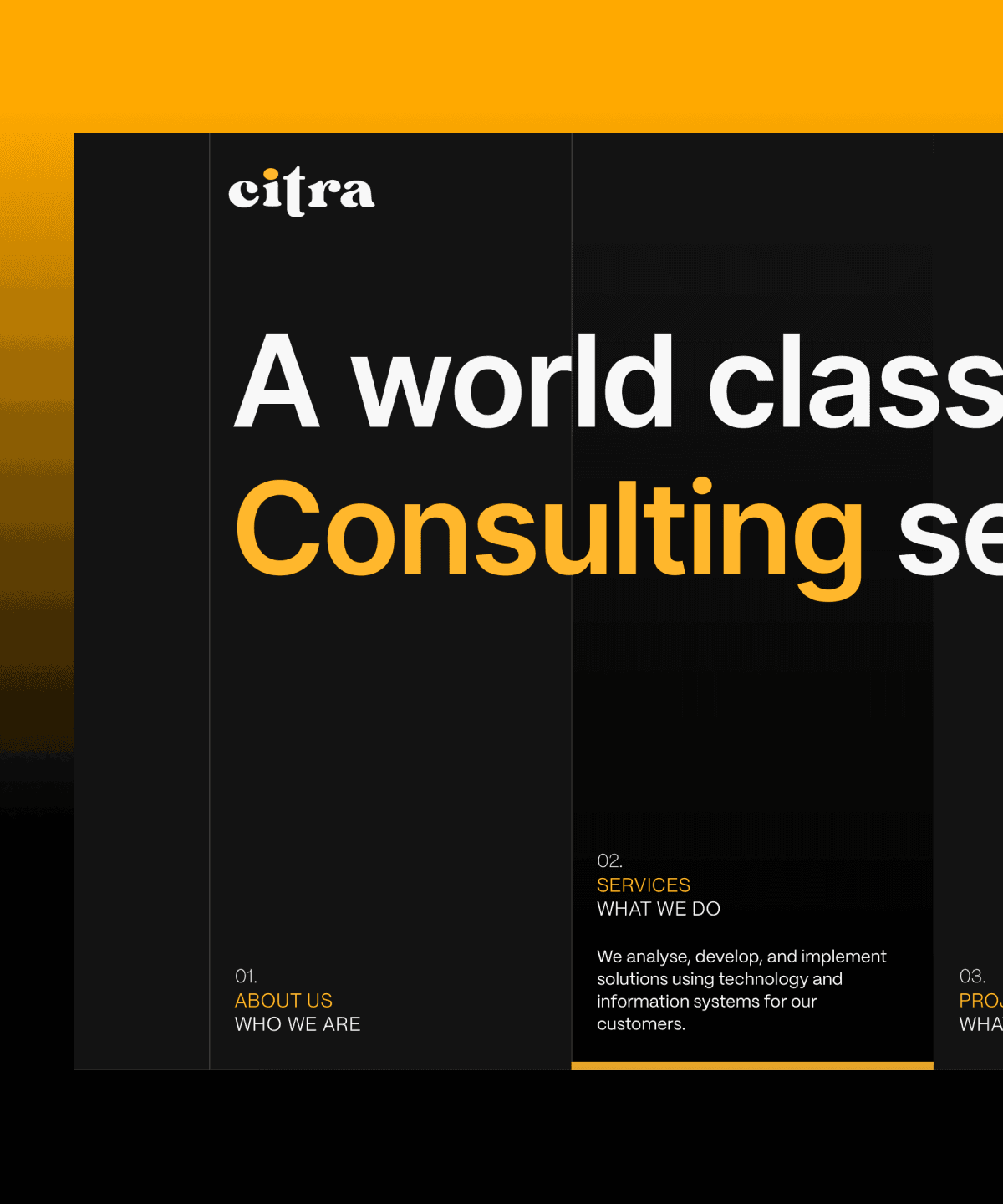 Screenshot of Citra website