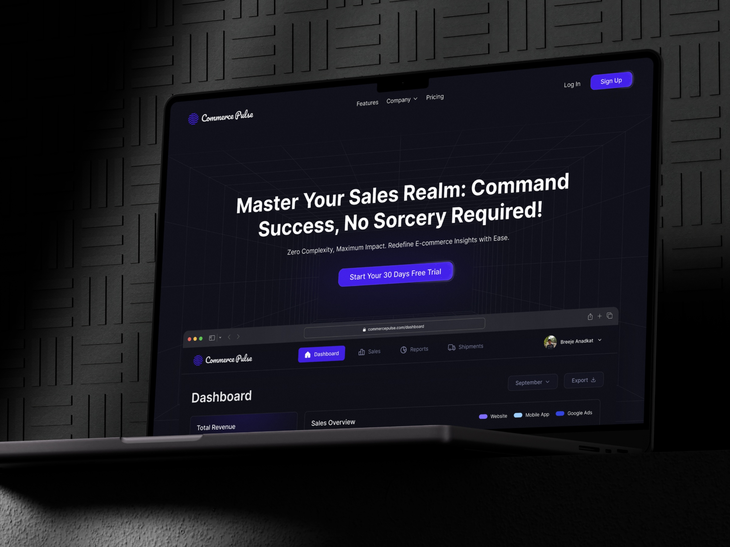 Screenshot of Commercepulse website