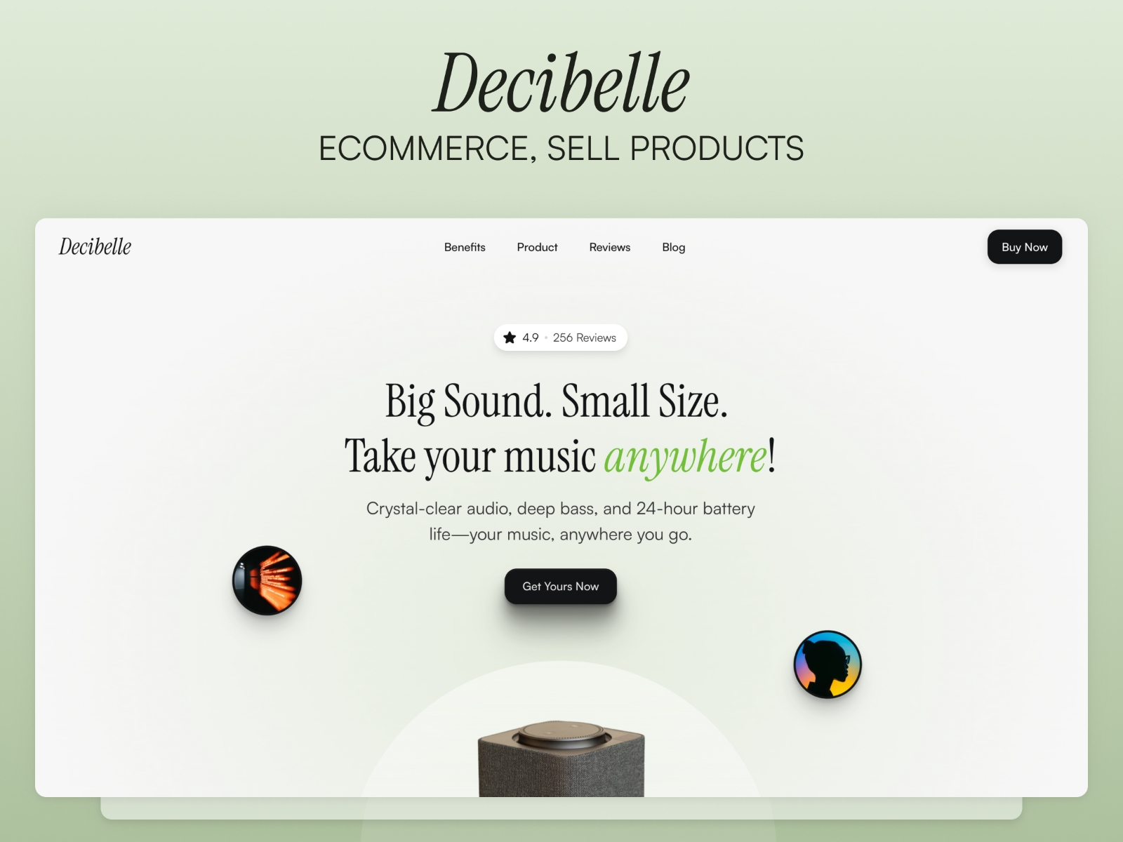 Screenshot of Decibelle website