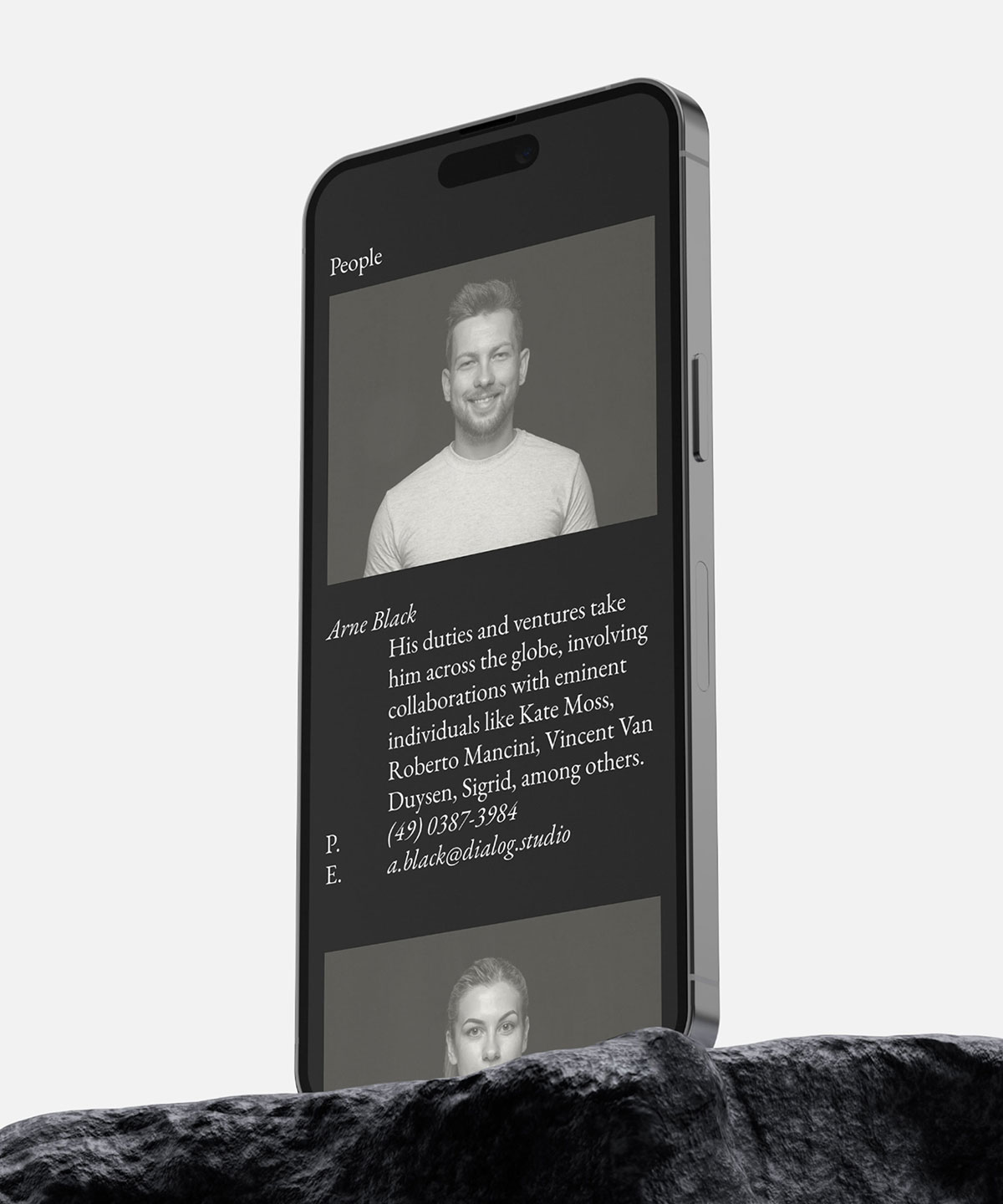 Screenshot of Dialog website