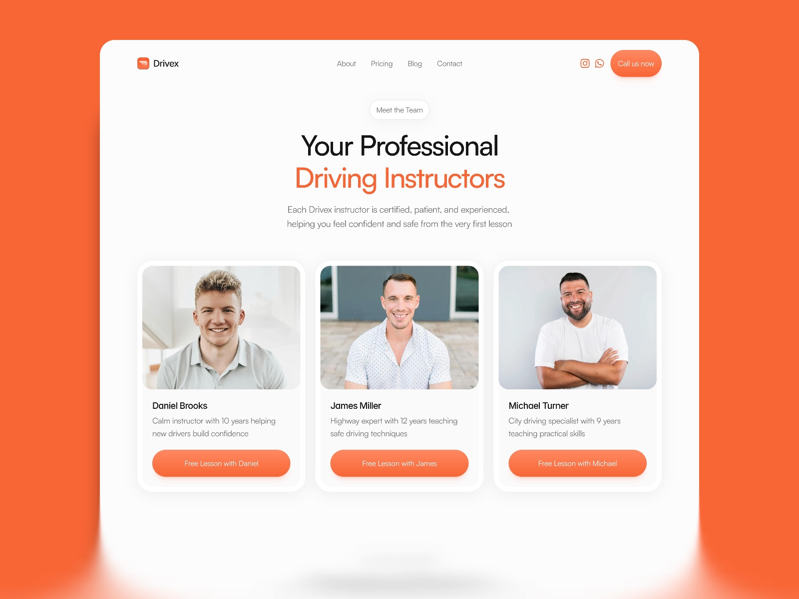 Screenshot 3 of Drivex