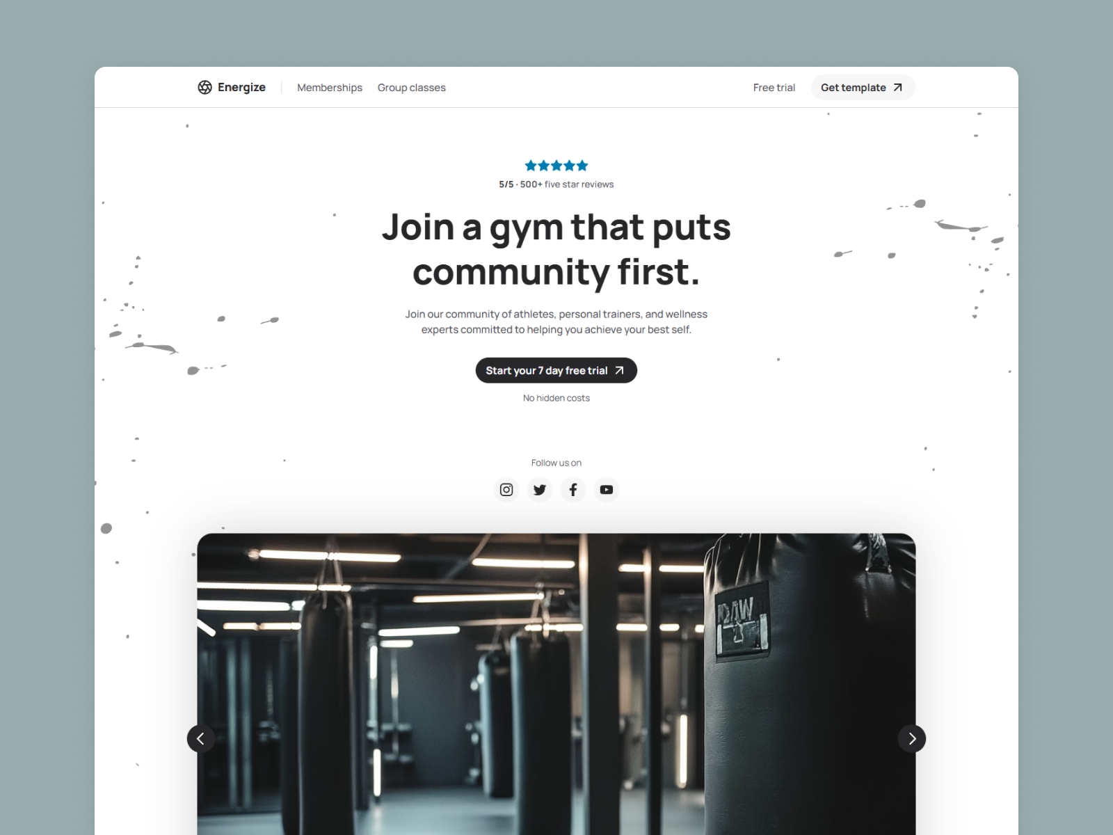 Screenshot of Energize website