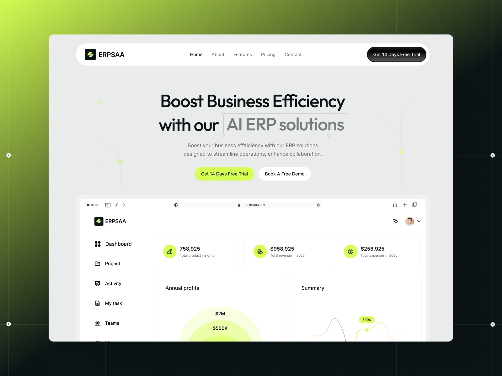 Screenshot of Erpsaa website