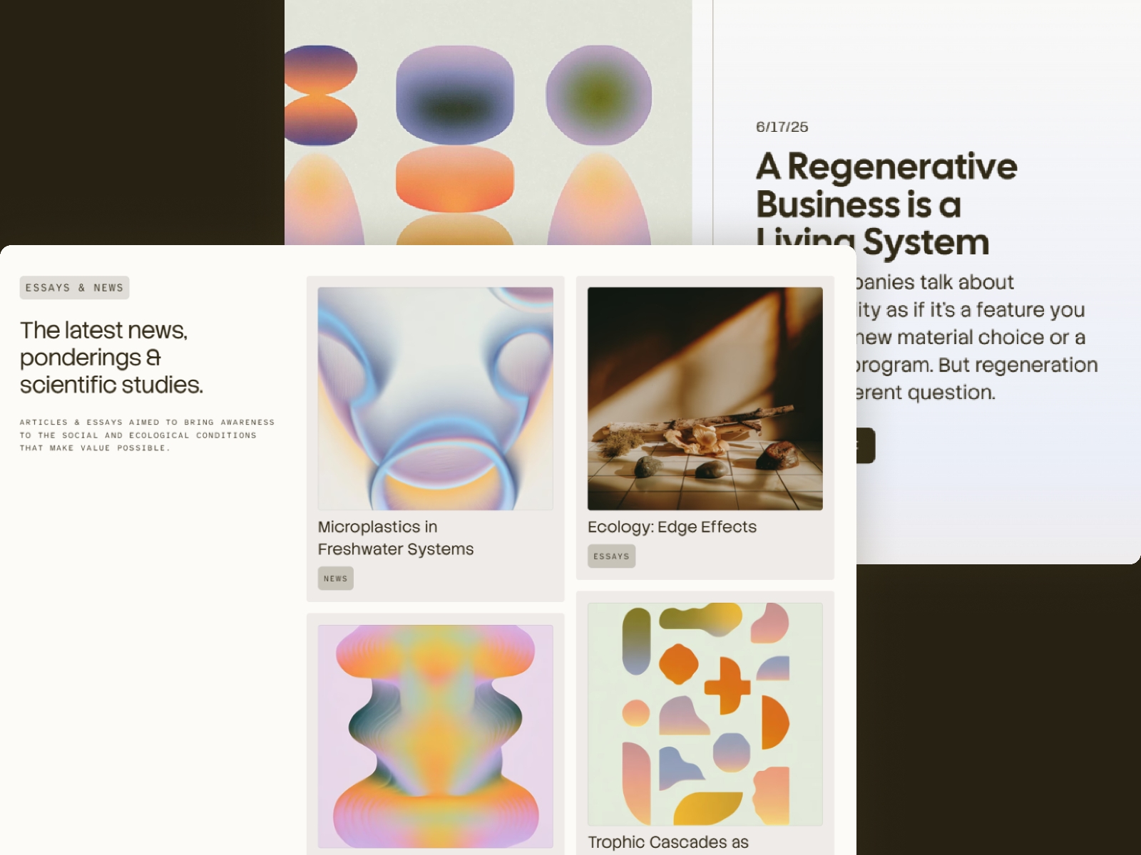 Screenshot 2 of Essayist