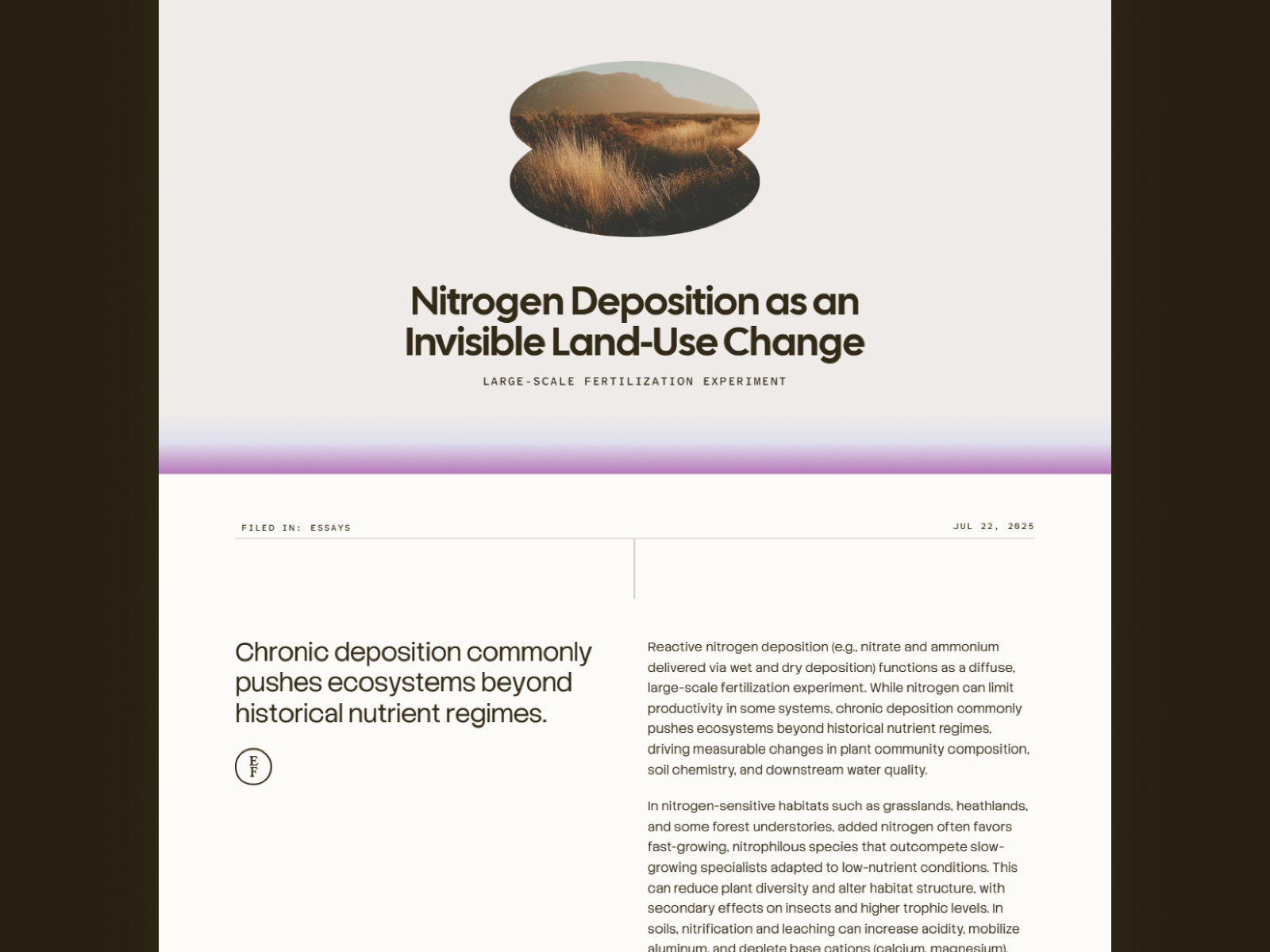 Screenshot 3 of Essayist