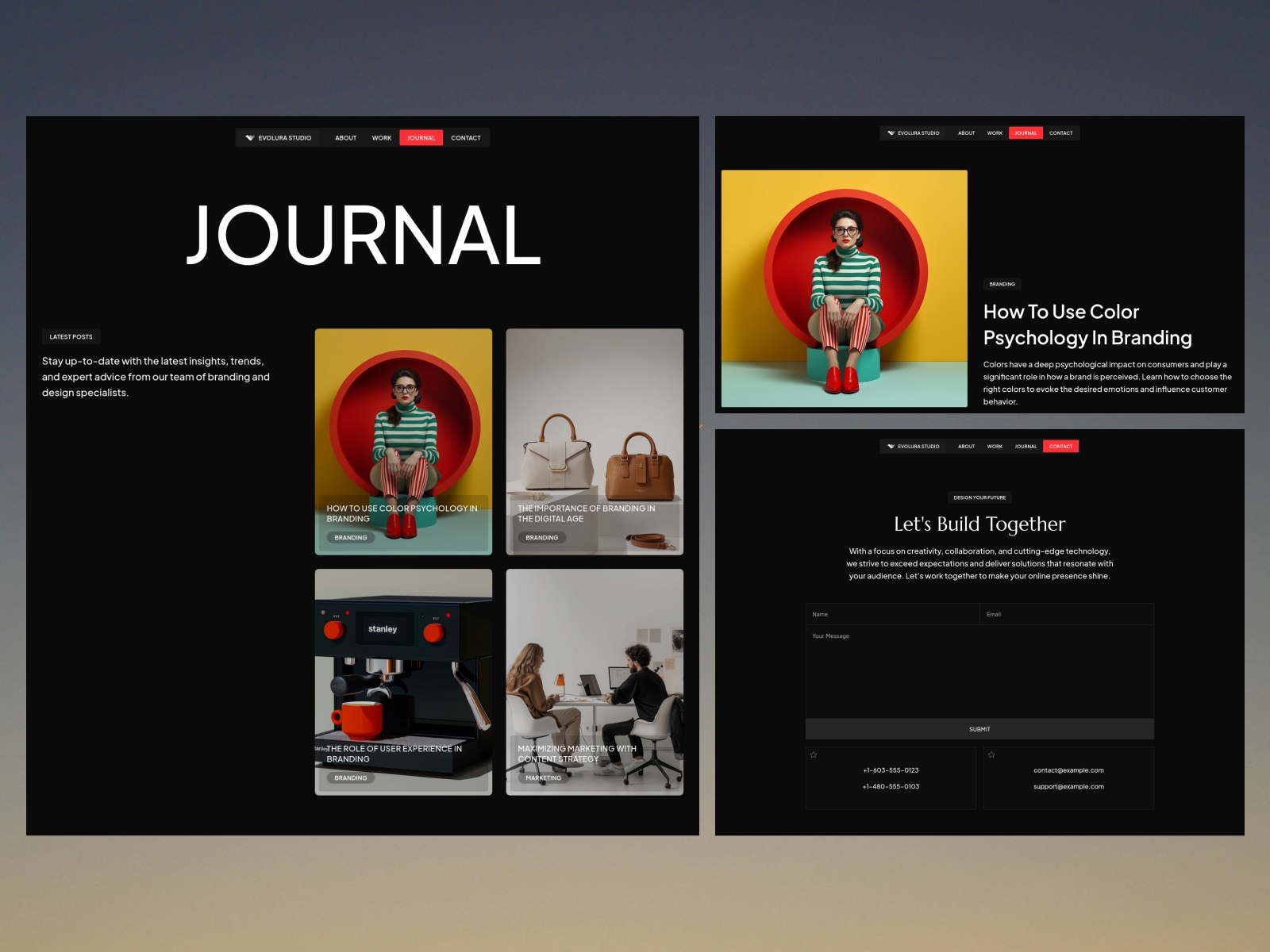 Screenshot of Evolura website