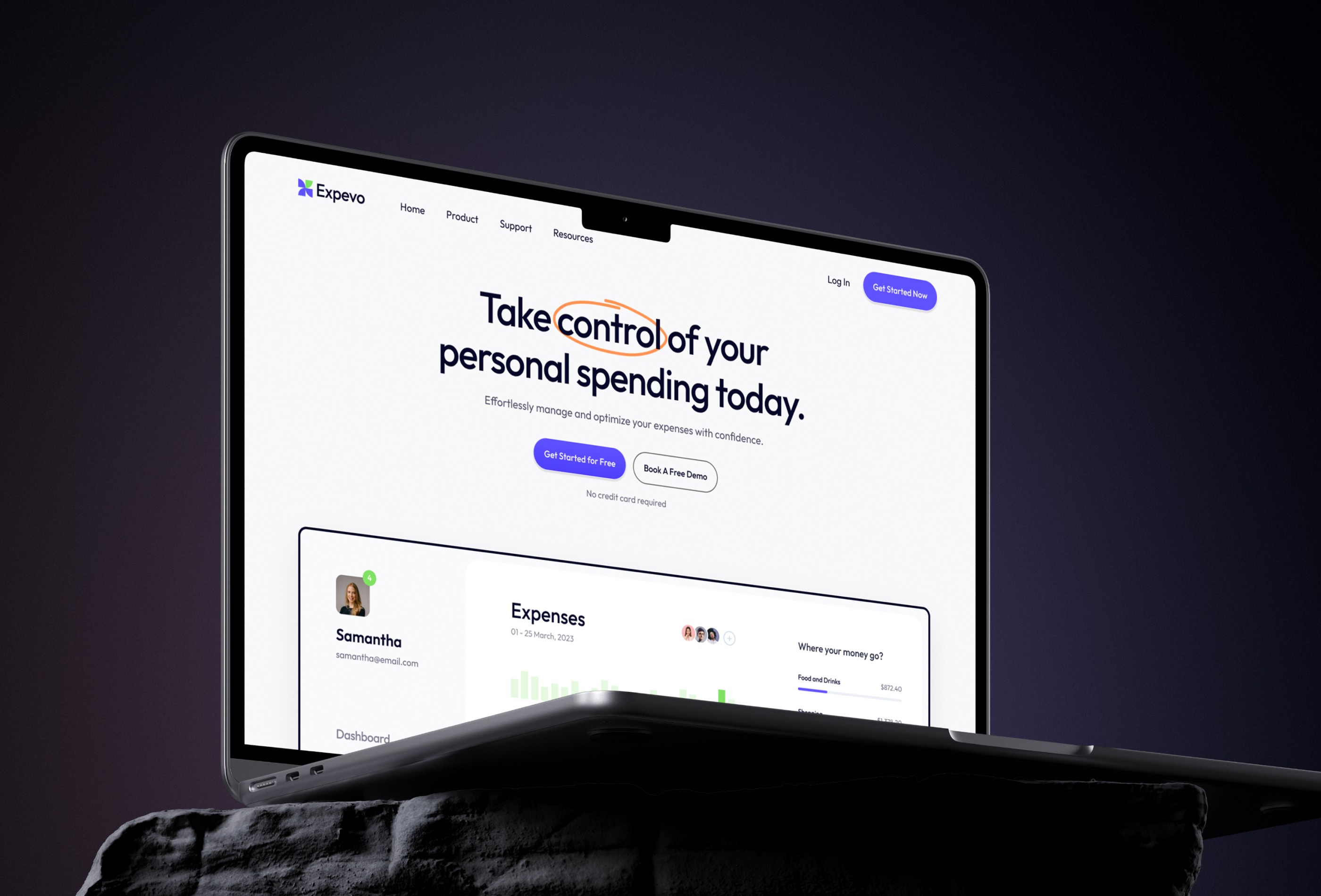 Screenshot of Expevo website