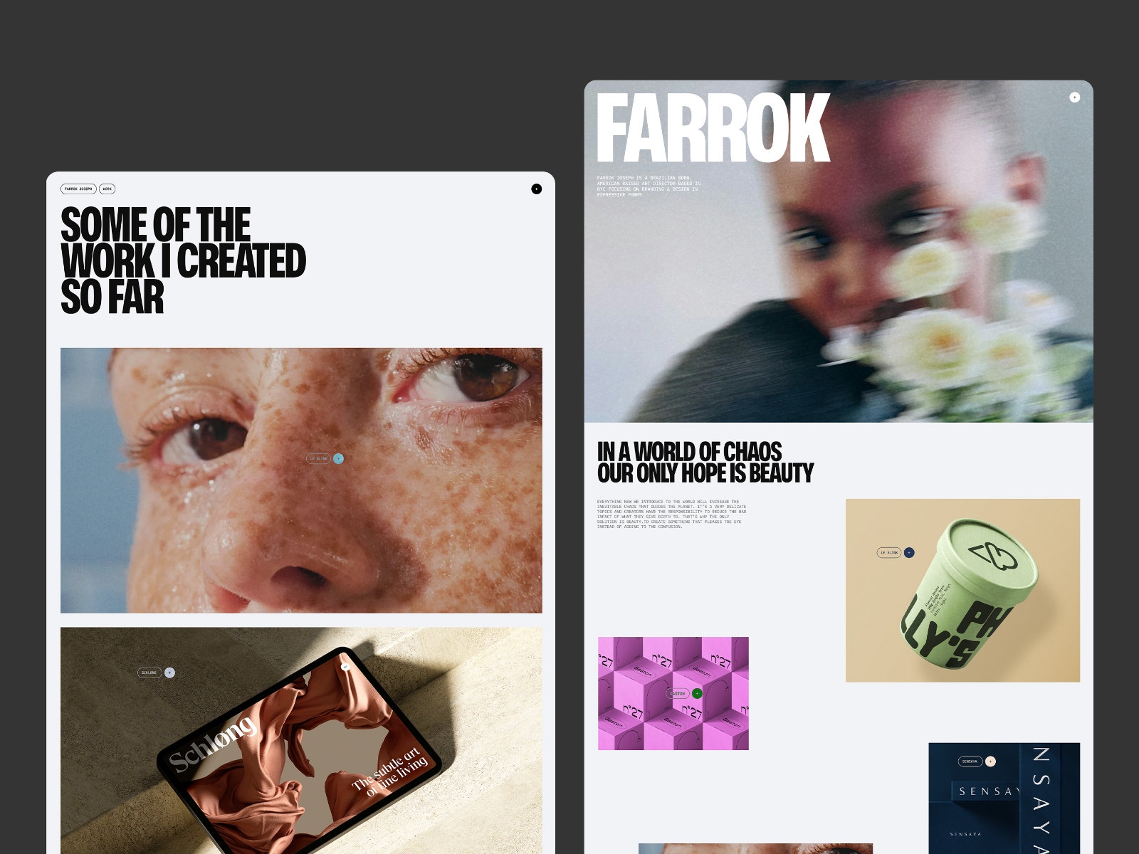 Screenshot 2 of Farrok premium agency portfolio template