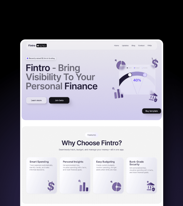Screenshot of Fintro website