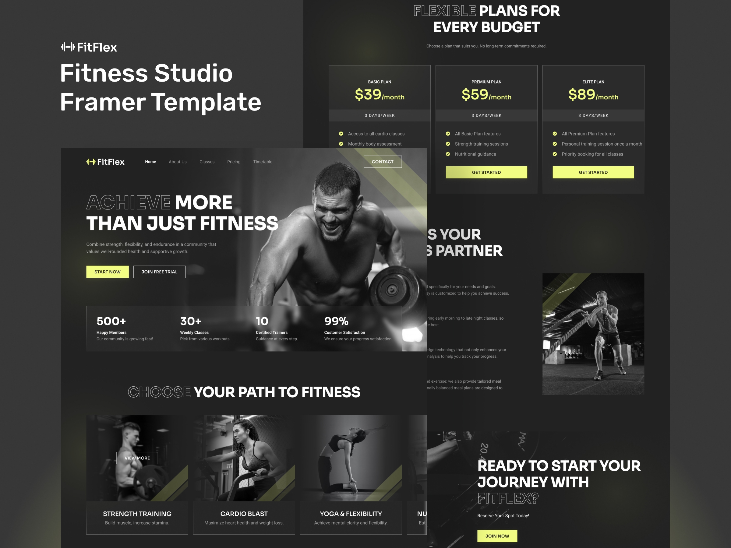 Screenshot of Fitflex website
