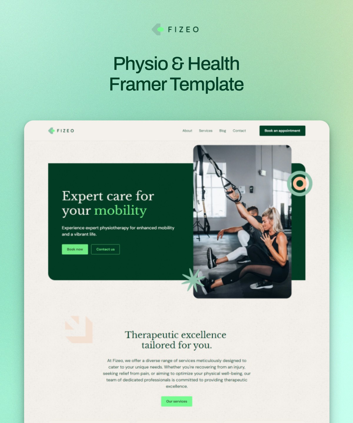 Screenshot of Fizeo website