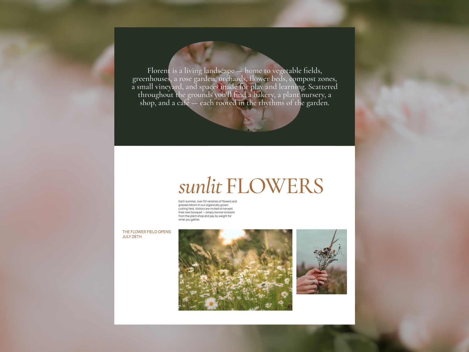 Screenshot 3 of Florent