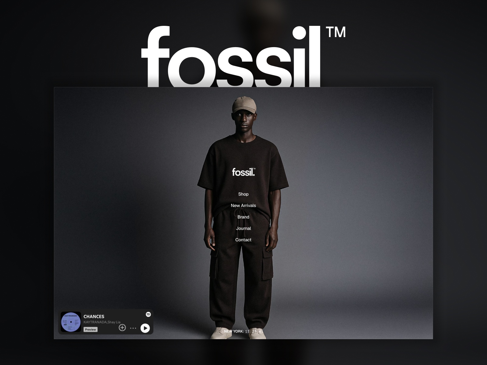 Screenshot of Fossil website