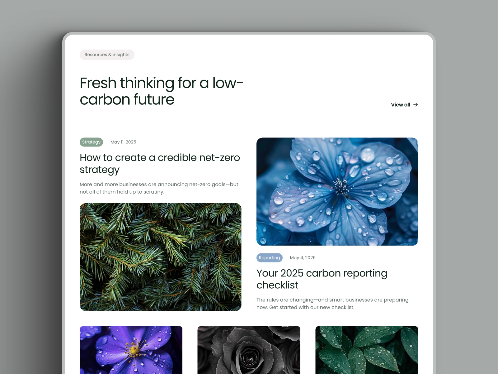 Screenshot 2 of Greenleaf