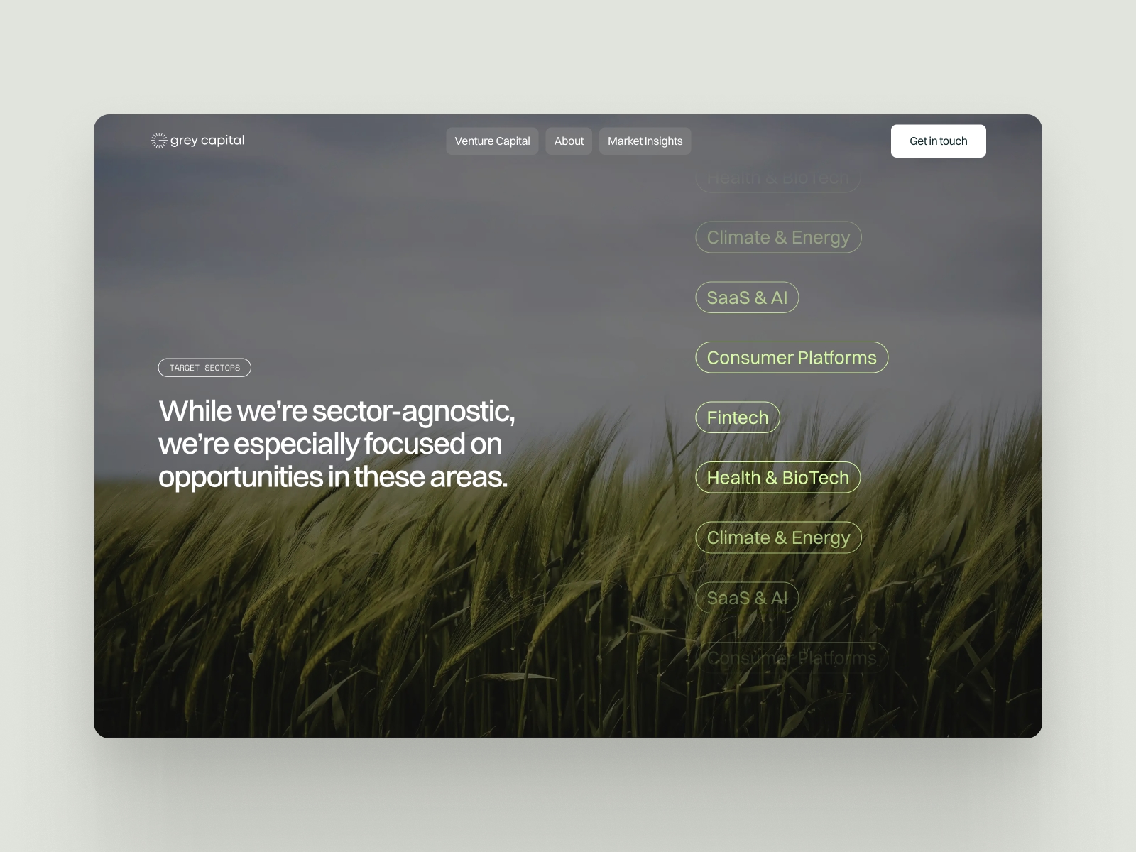 Screenshot 3 of Grey capital