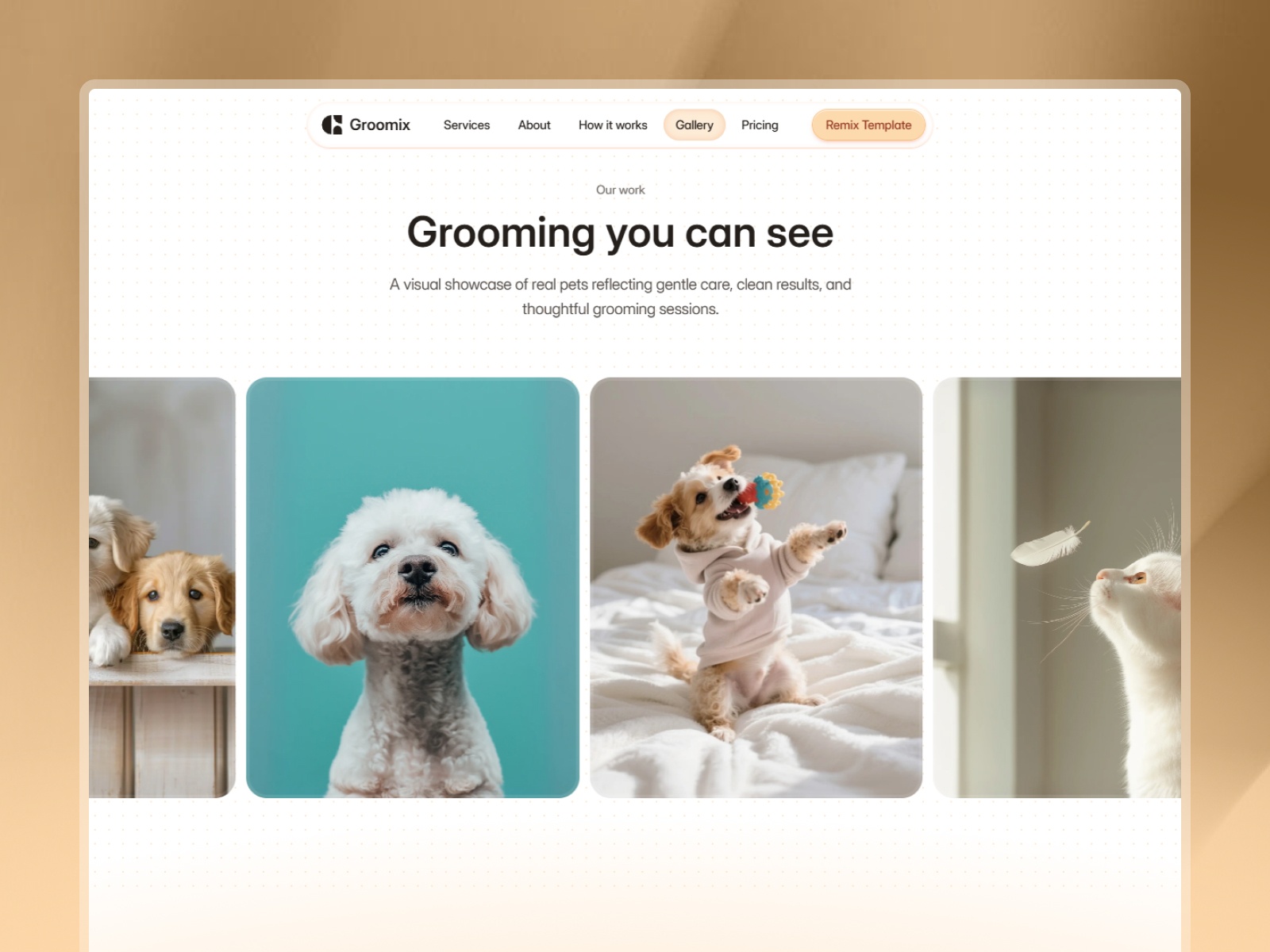 Screenshot 2 of Groomix