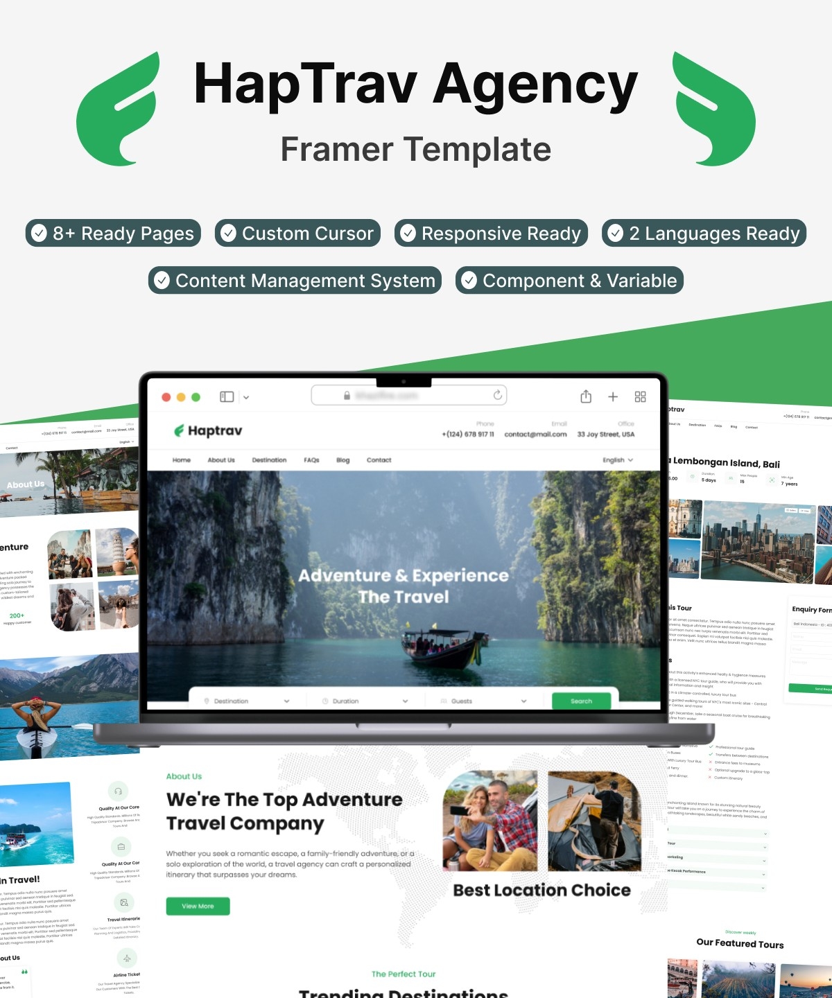 Screenshot of Haptrav website