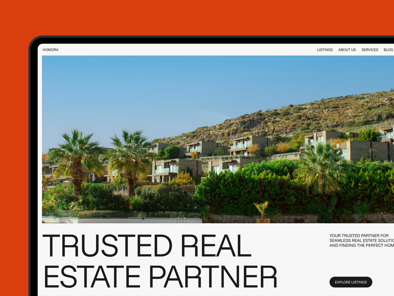 Screenshot of Homora website