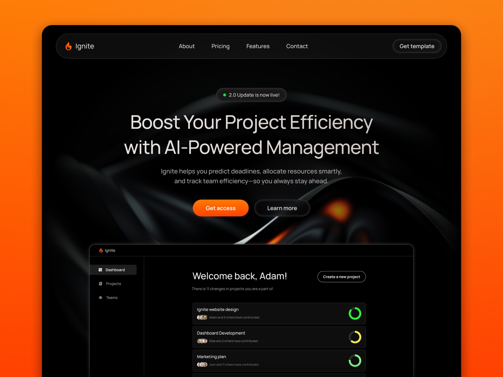 Screenshot of Ignite website