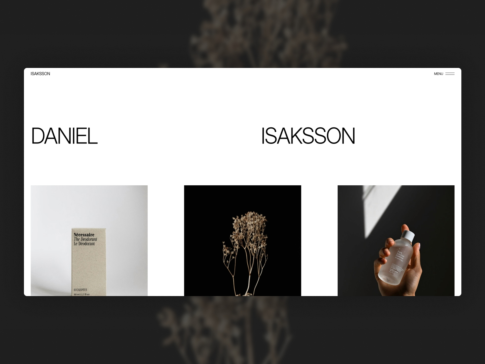 Screenshot of Isaksson website