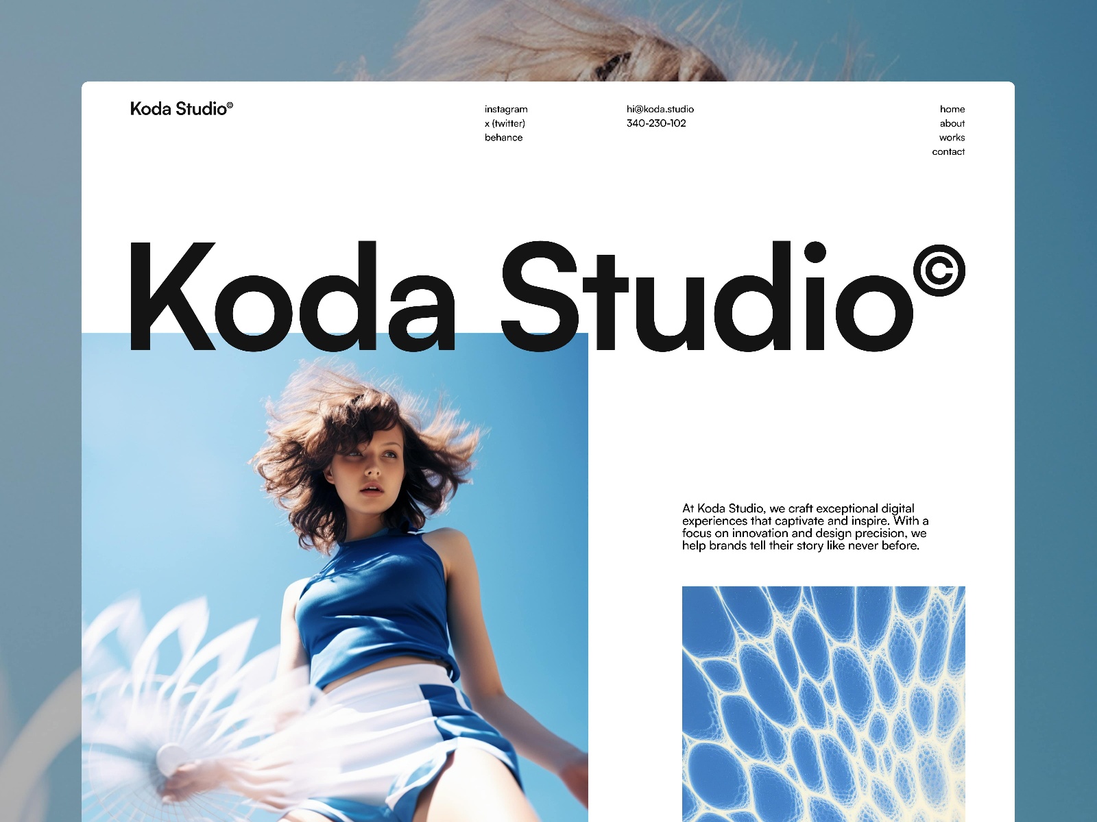 Screenshot of Koda website