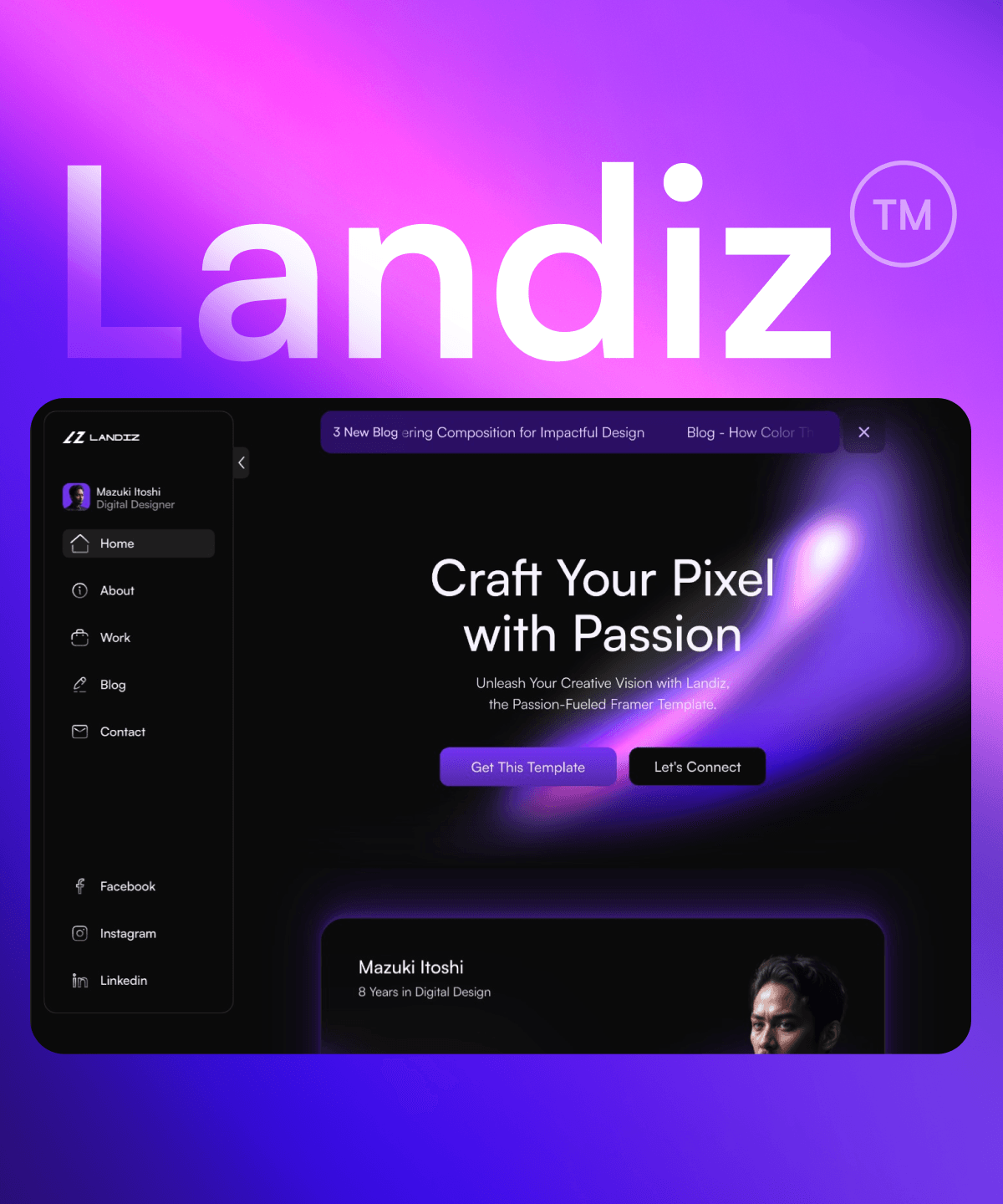 Screenshot of Landiz website