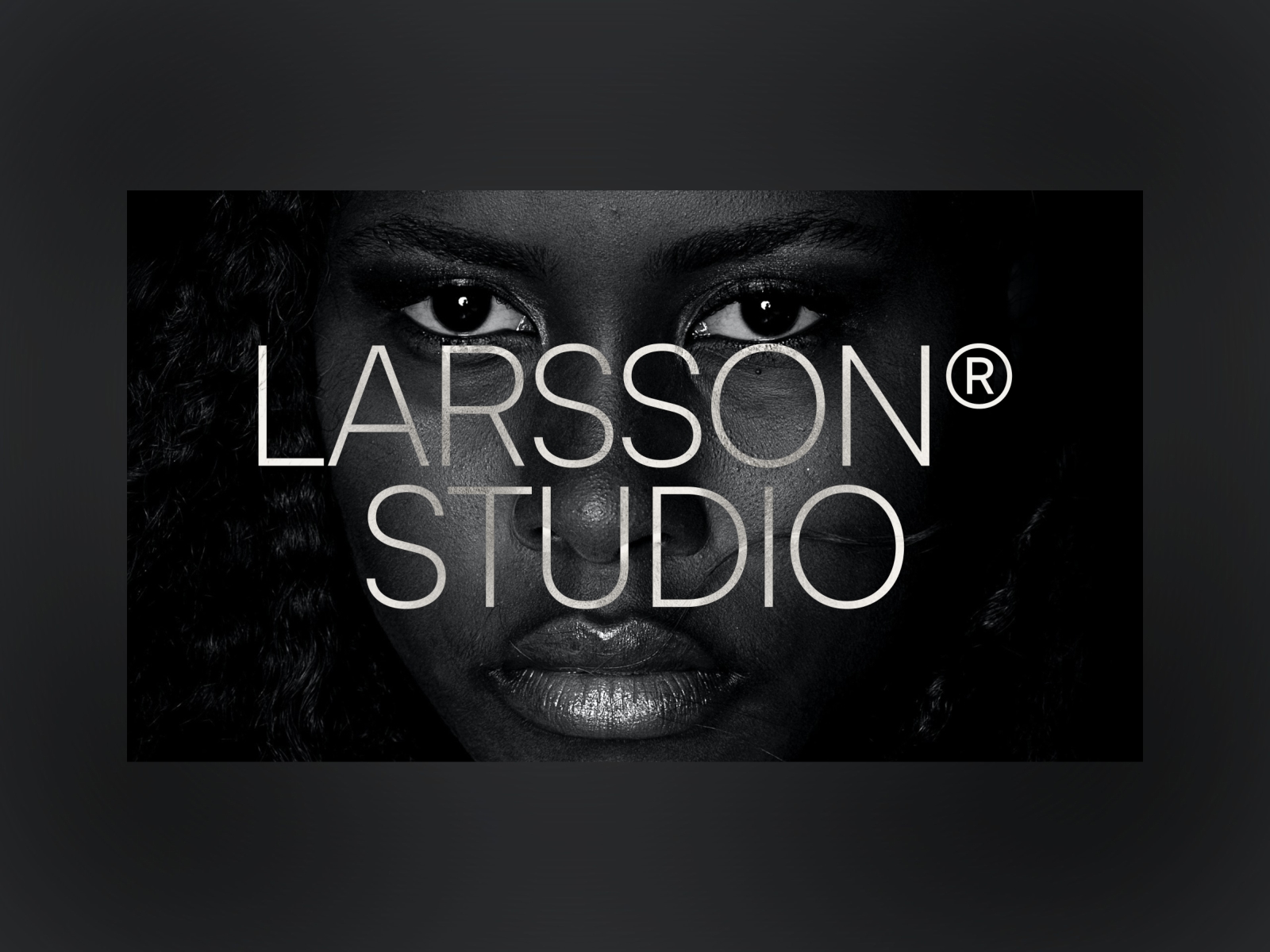 Screenshot 2 of Larsson