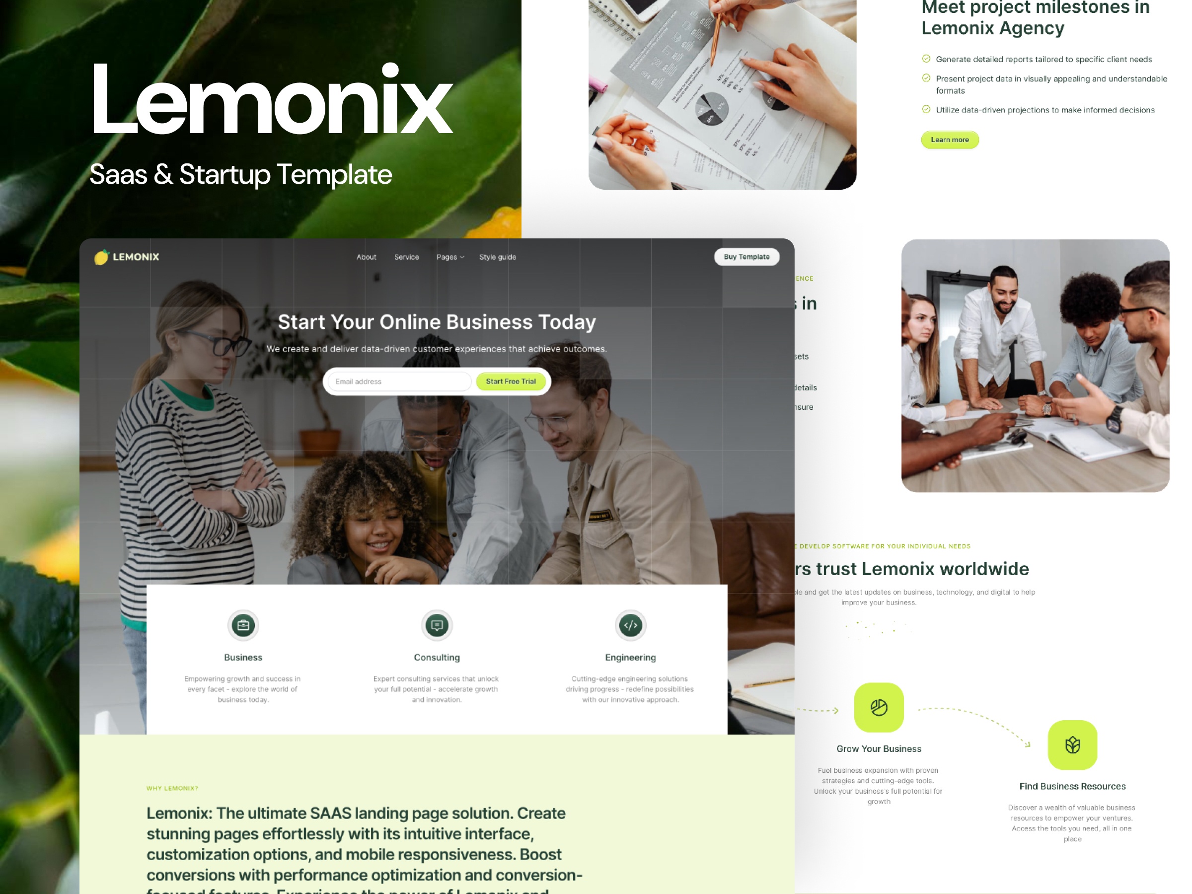 Screenshot of Lemonix website