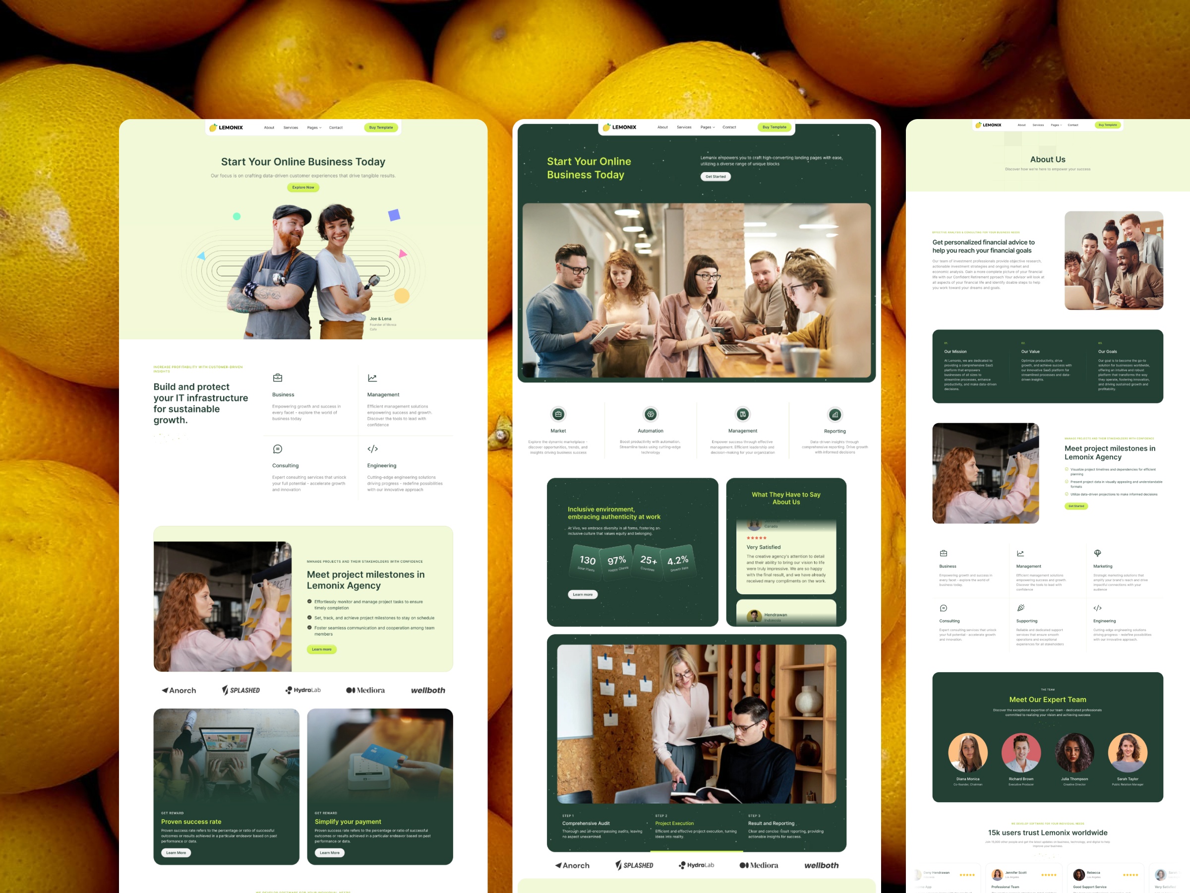 Screenshot 2 of Lemonix