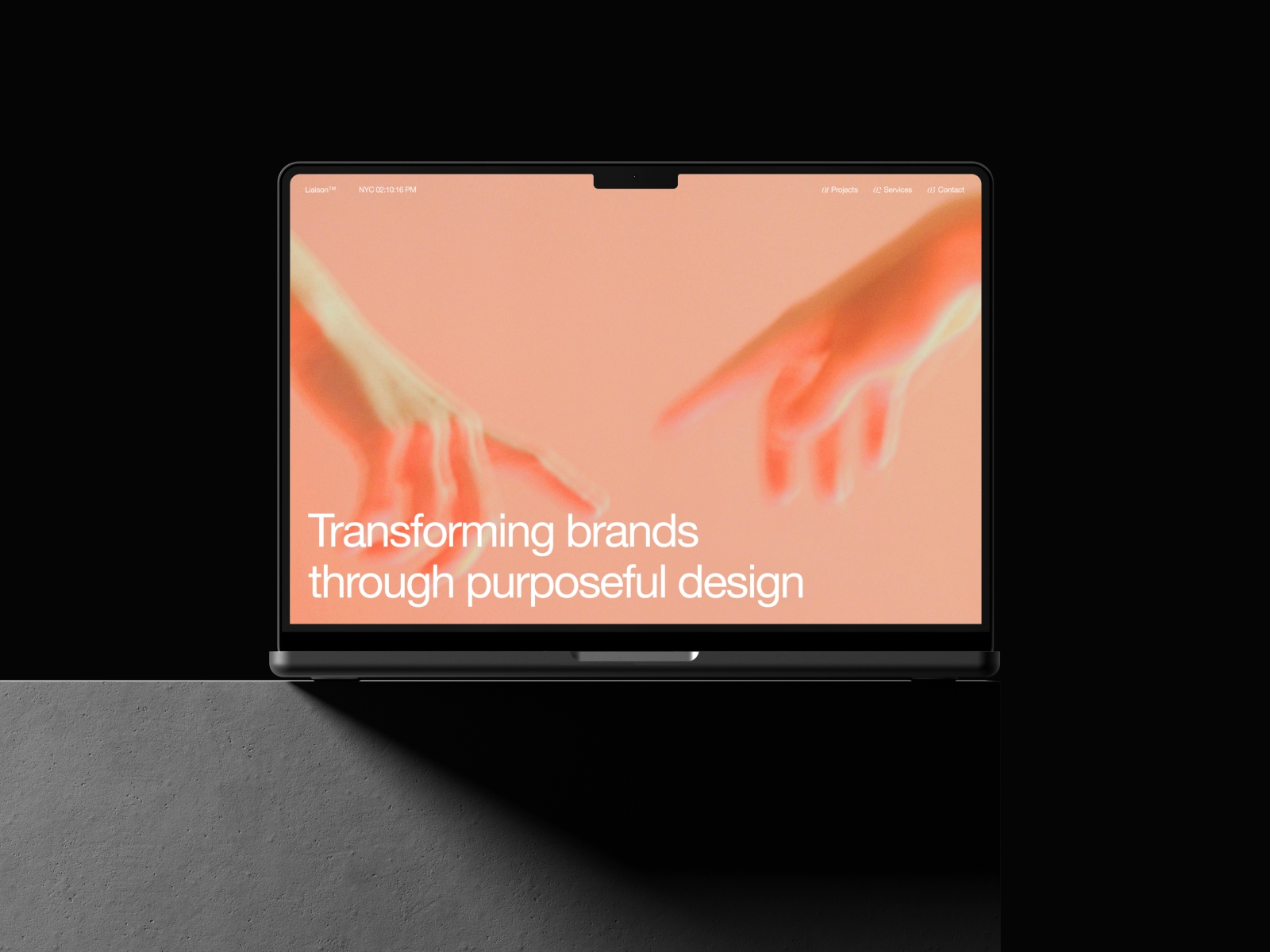 Screenshot of Liaison website