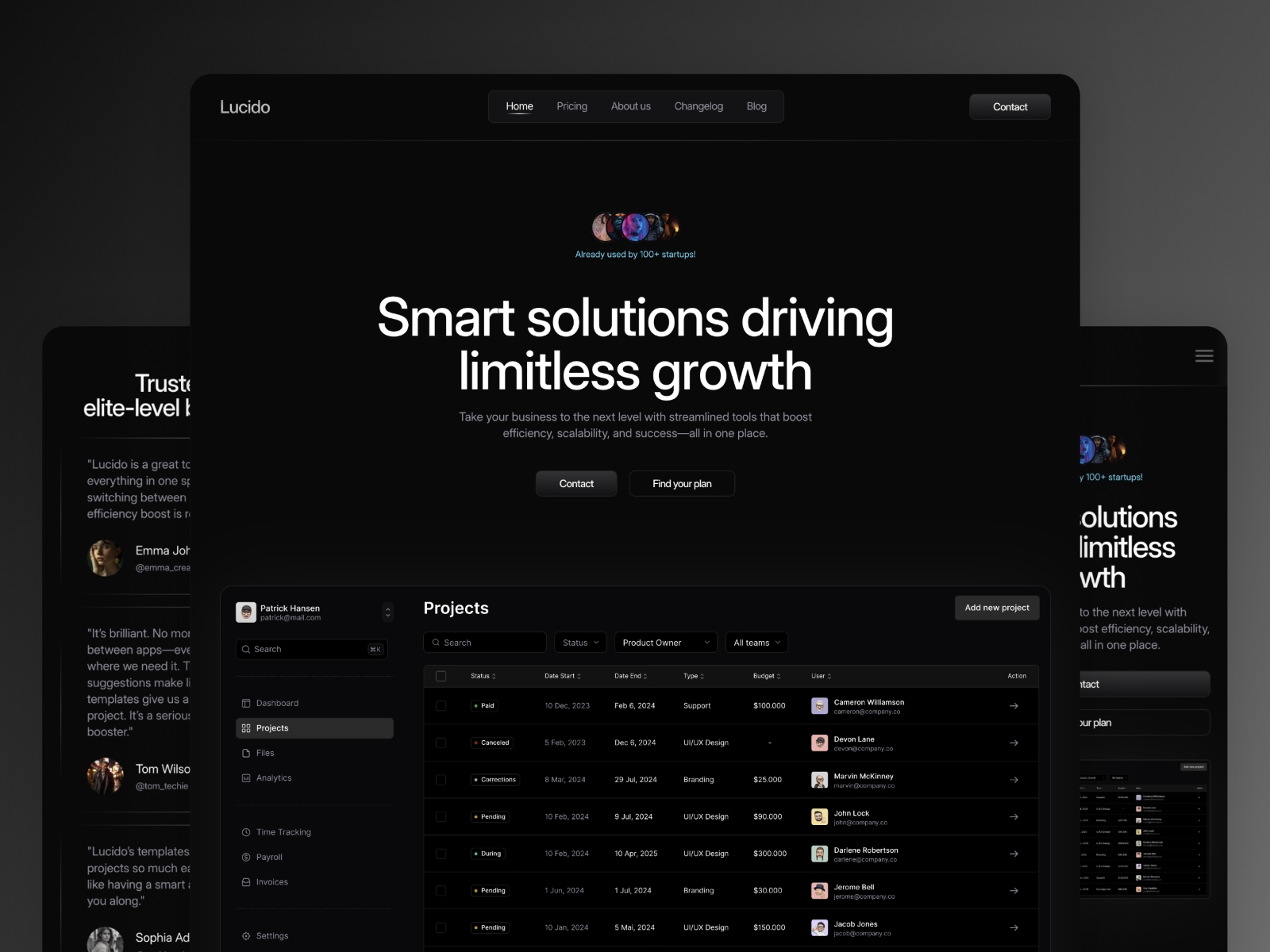 Screenshot of Lucido website