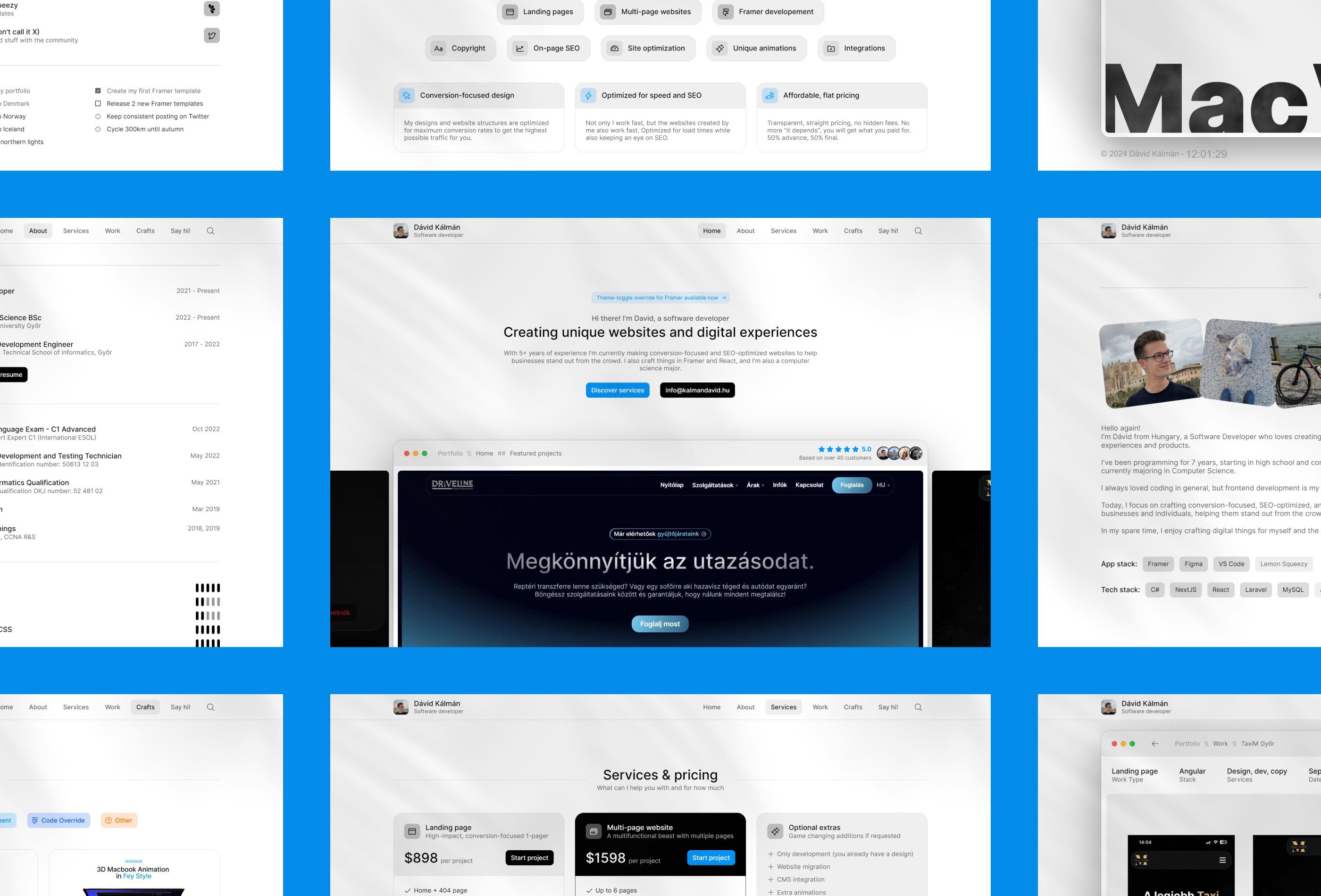 Screenshot of Macvision website