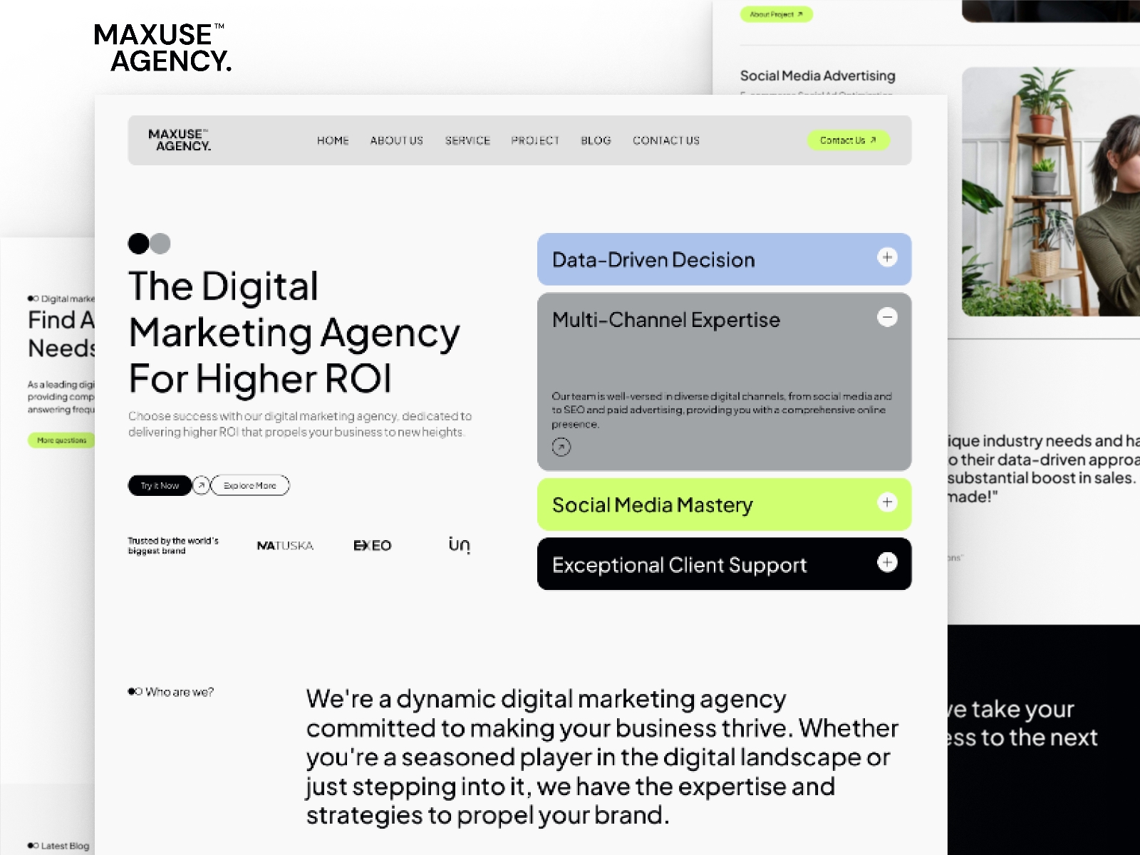 Screenshot of Maxuse website