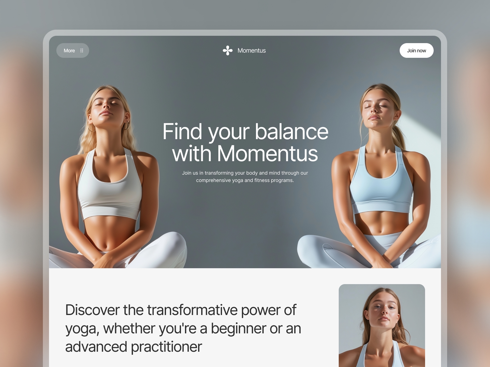 Screenshot of Momentus website