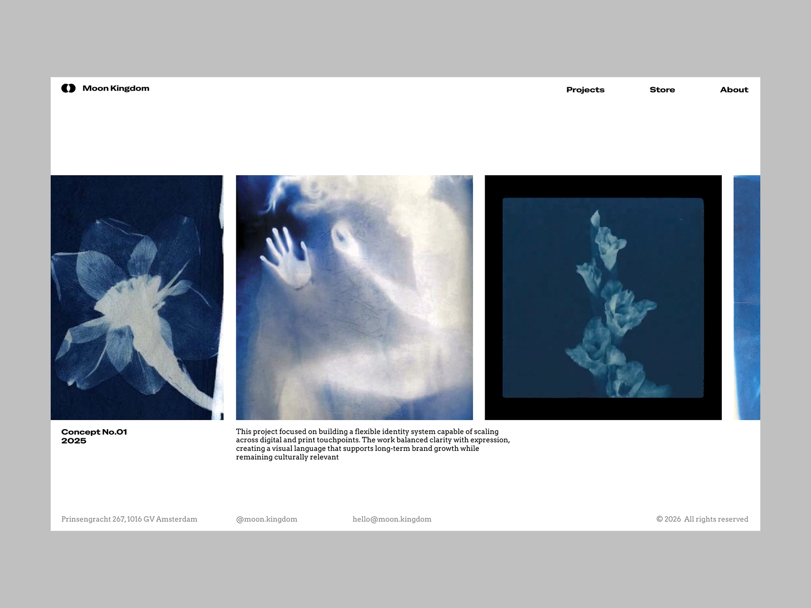 Screenshot 3 of Moon kingdom