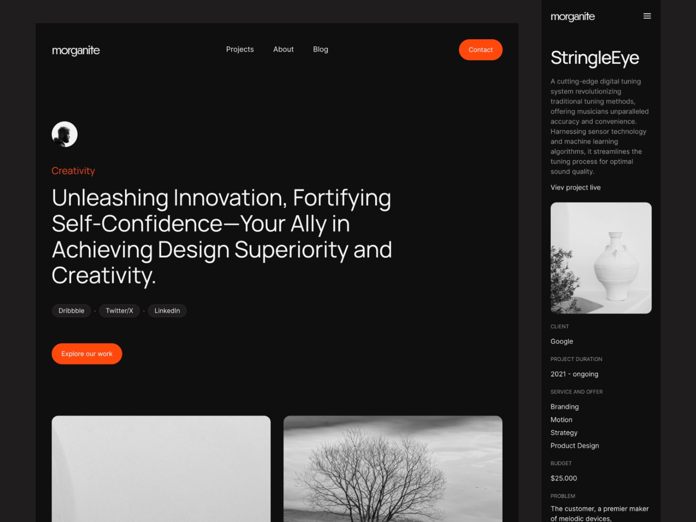 Screenshot of Morganite website