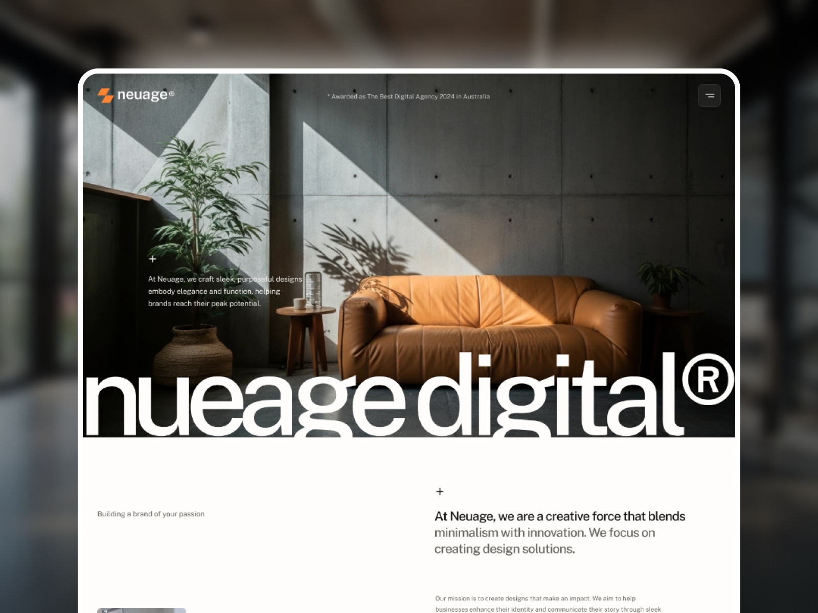 Screenshot of Neuage website