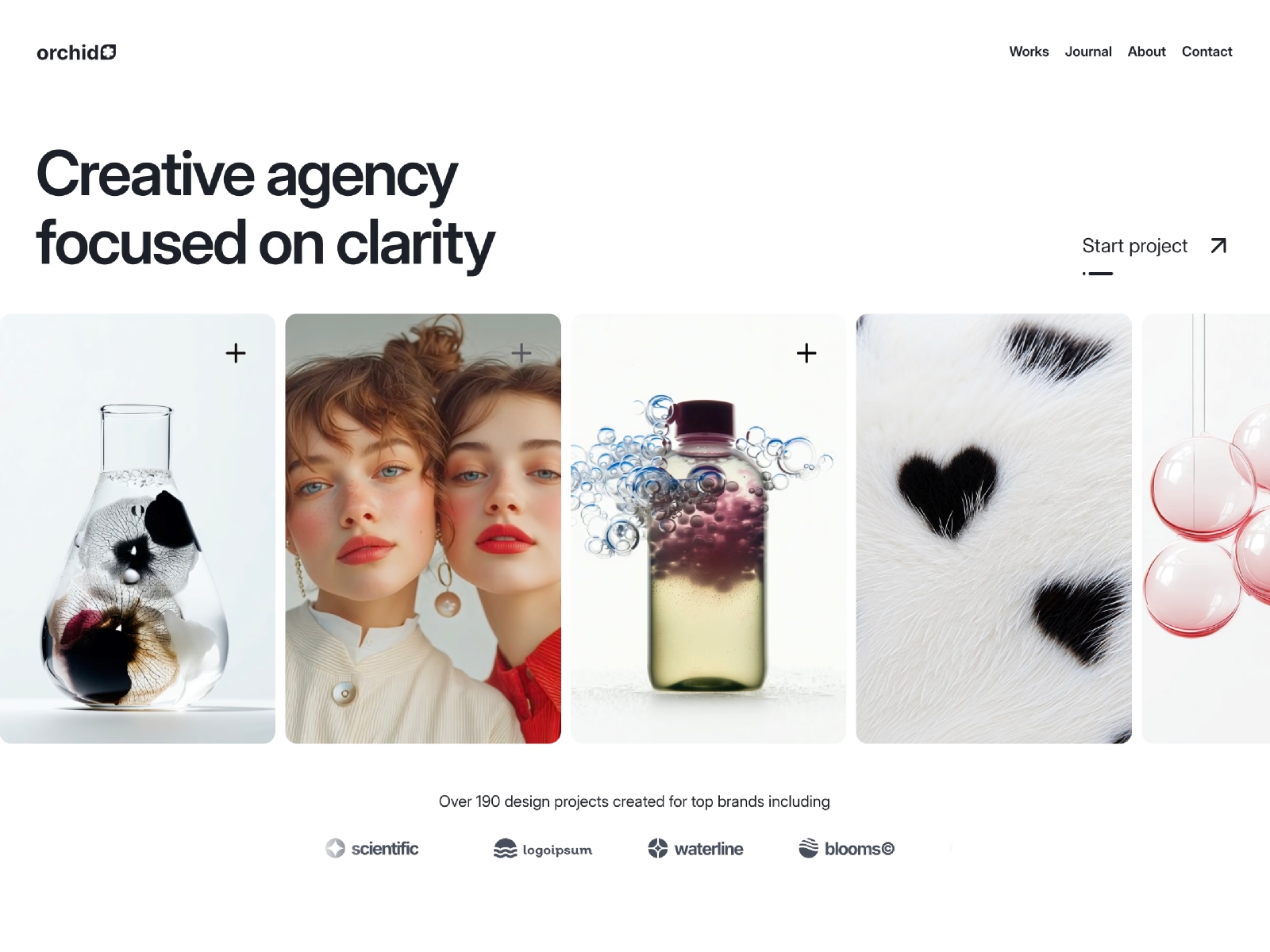 Screenshot of Orchid website